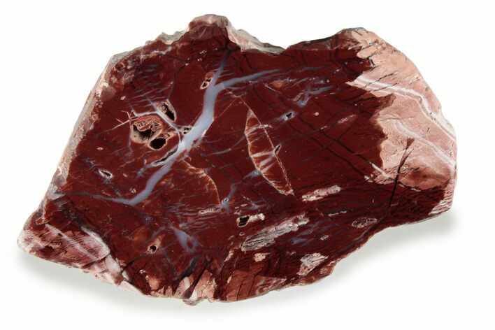Polished Royal Flamingo Agate (Howardite) - Nevada #358644